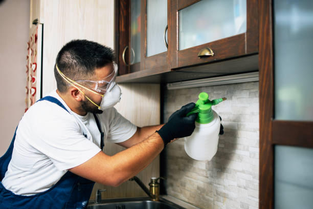 Best Wasp Removal Services  in Rose Hill, VA