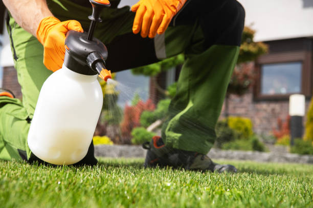 Best Pest Removal Services  in Rose Hill, VA