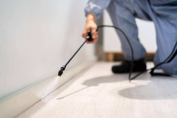 Best Local Pest Control Services  in Rose Hill, VA
