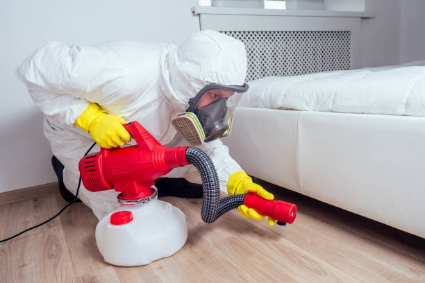 Best Mosquito Control Services  in Rose Hill, VA