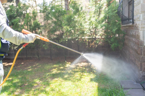 Best Rat Extermination Near Me  in Rose Hill, VA