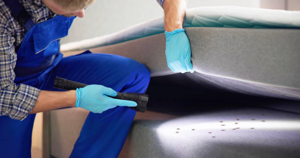 Best Emergency Pest Control  in Rose Hill, VA