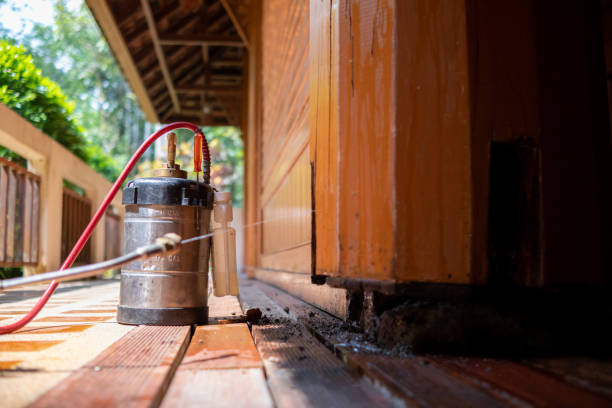 Best Best Pest Control Companies  in Rose Hill, VA