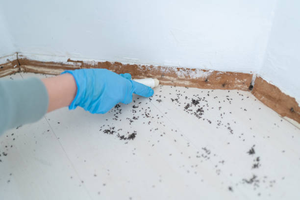 Best Pest Inspection Near Me  in Rose Hill, VA